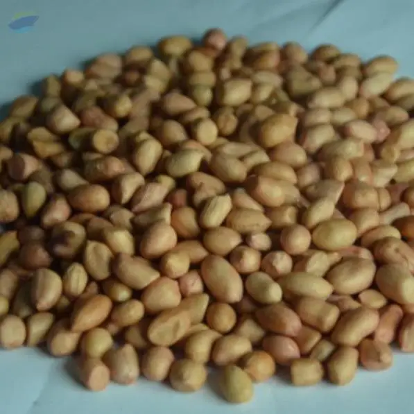 Brown Ground Nuts
