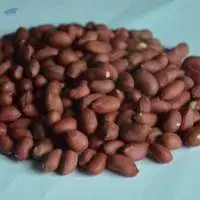 Ground Nuts