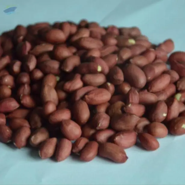 Ground Nuts