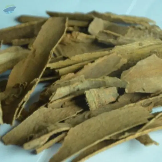 Cinnamon