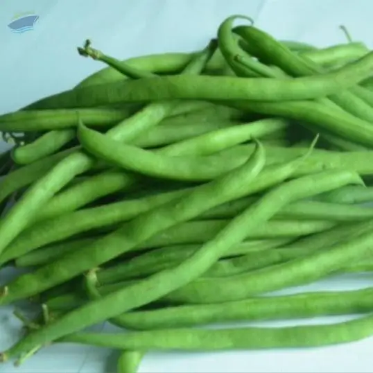 Green Beans