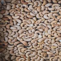 Cashew