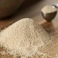 Yeast