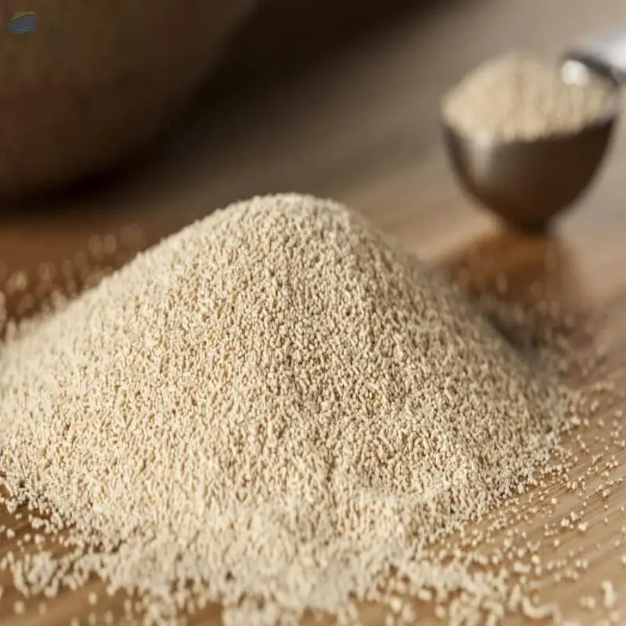 Yeast