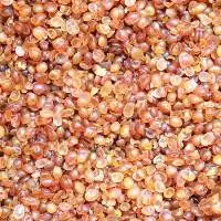 Animal Glue Beads