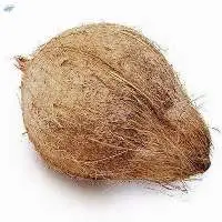 Dehusked Coconut