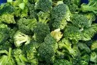 IQF Broccoli Florets