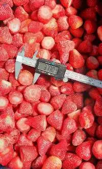 Frozen Strawberries Calibrated Size 25 -35 mm