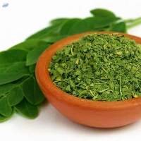 Organic Moringa Cut Leaves with COI/TC