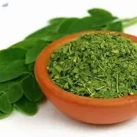 Organic Moringa Cut Leaves with COI/TC
