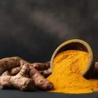 Organic Turmeric Powder With COI/TC