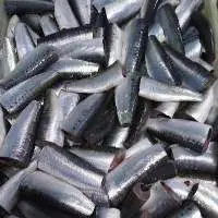 Atlantic Sardines Pichardus HGT