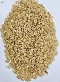Health Benefits of Sprouted Brown Rice