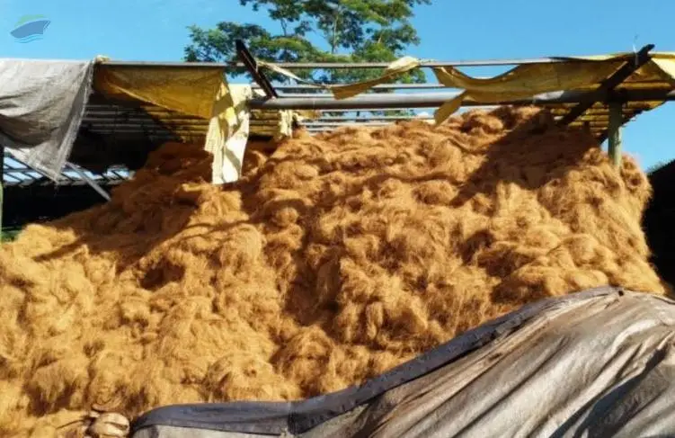 Coconut Fiber