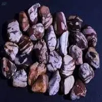Zebra Jasper Gemstone Tumbled Stone