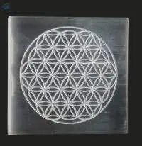 Selenite Charging Plate With Flower Of Life