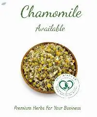 Chamomile