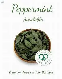Spearmint / Peppermint