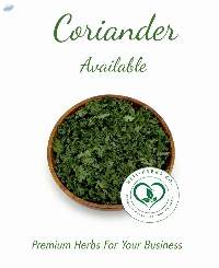 Coriander /Cilantro