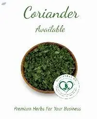 Coriander /Cilantro