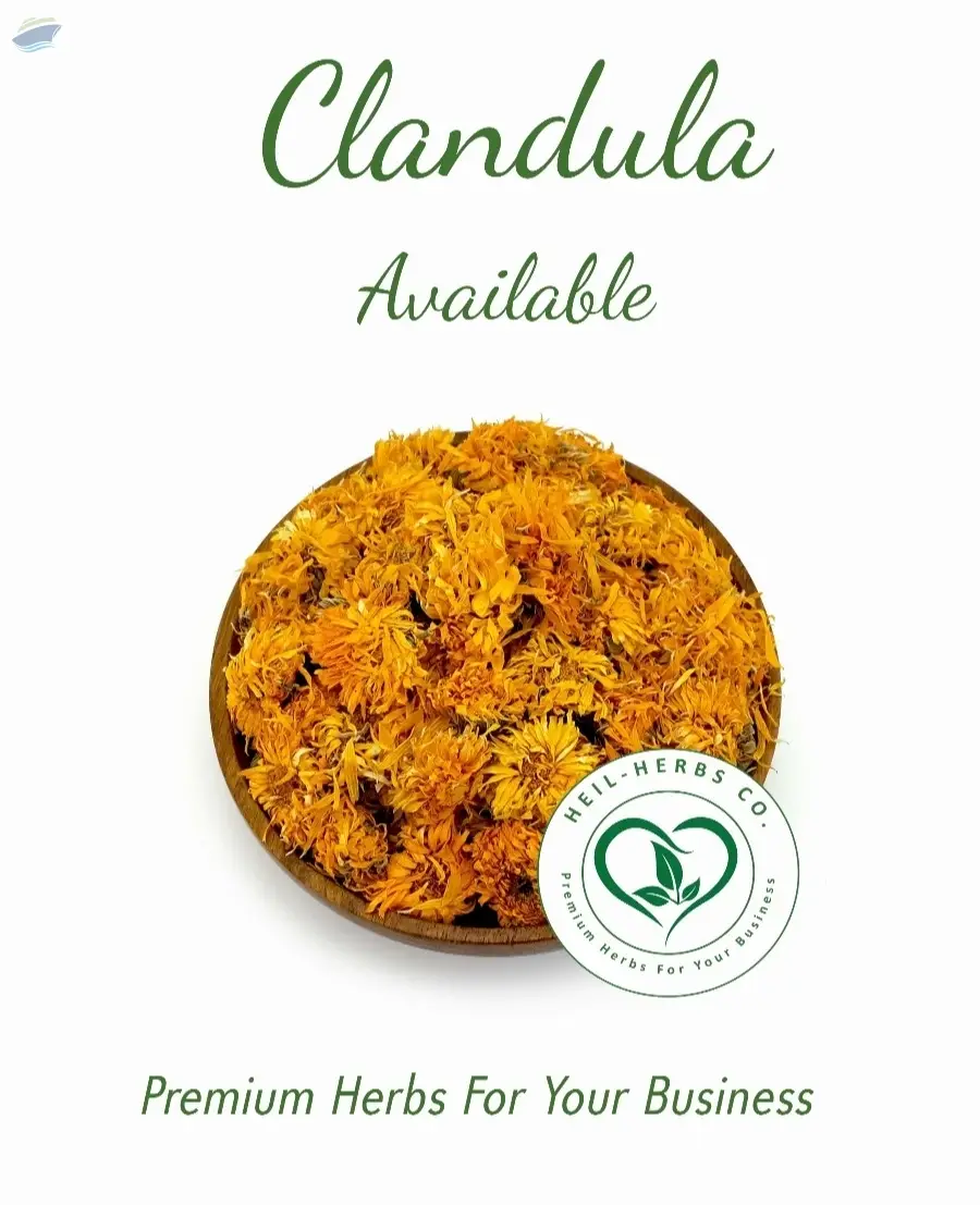Marigold - Calendula