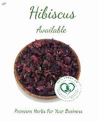 Hibiscus