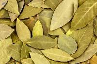 Bay Leaves