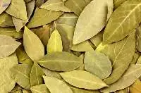 Bay Leaves