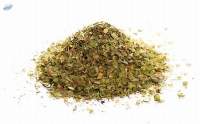 Oregano