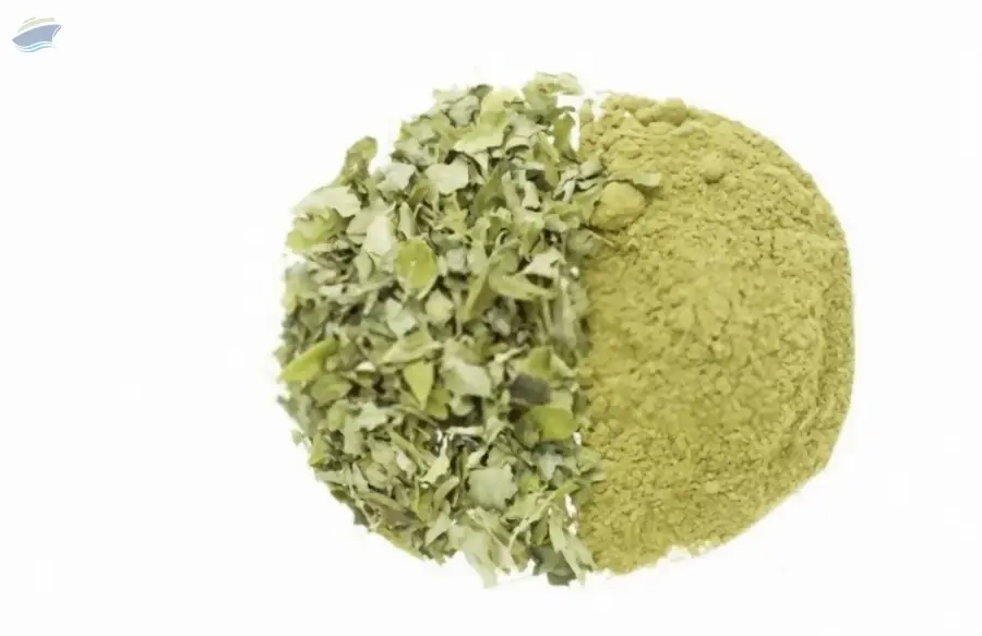 Moringa