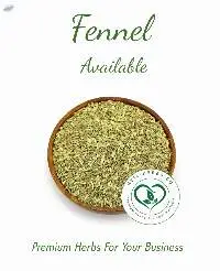 Fennel Seeds