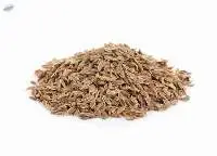 Caraway