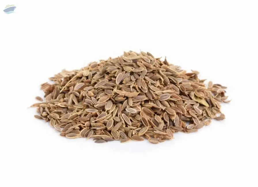 Caraway