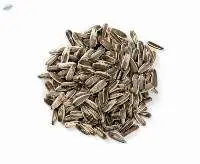 Sunflower Seeds