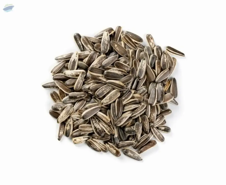 Sunflower Seeds