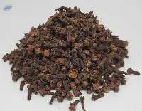 Cloves