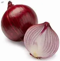 Onion