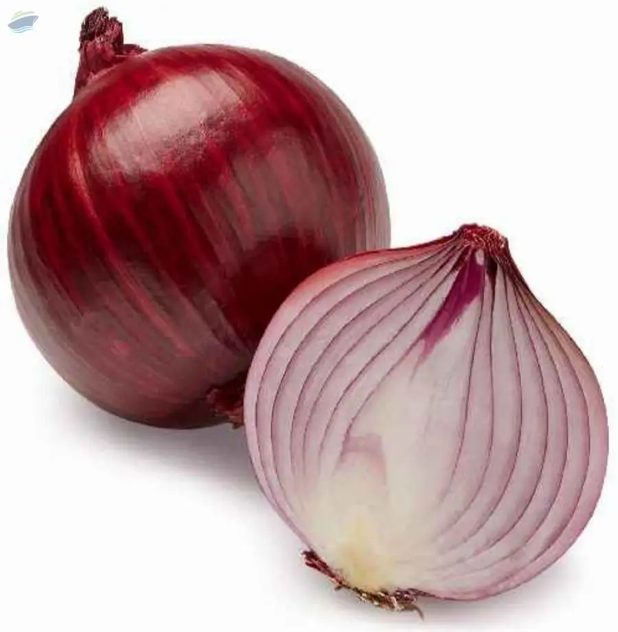 Onion