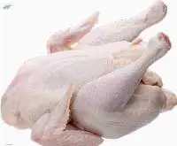 Frozen Chicken