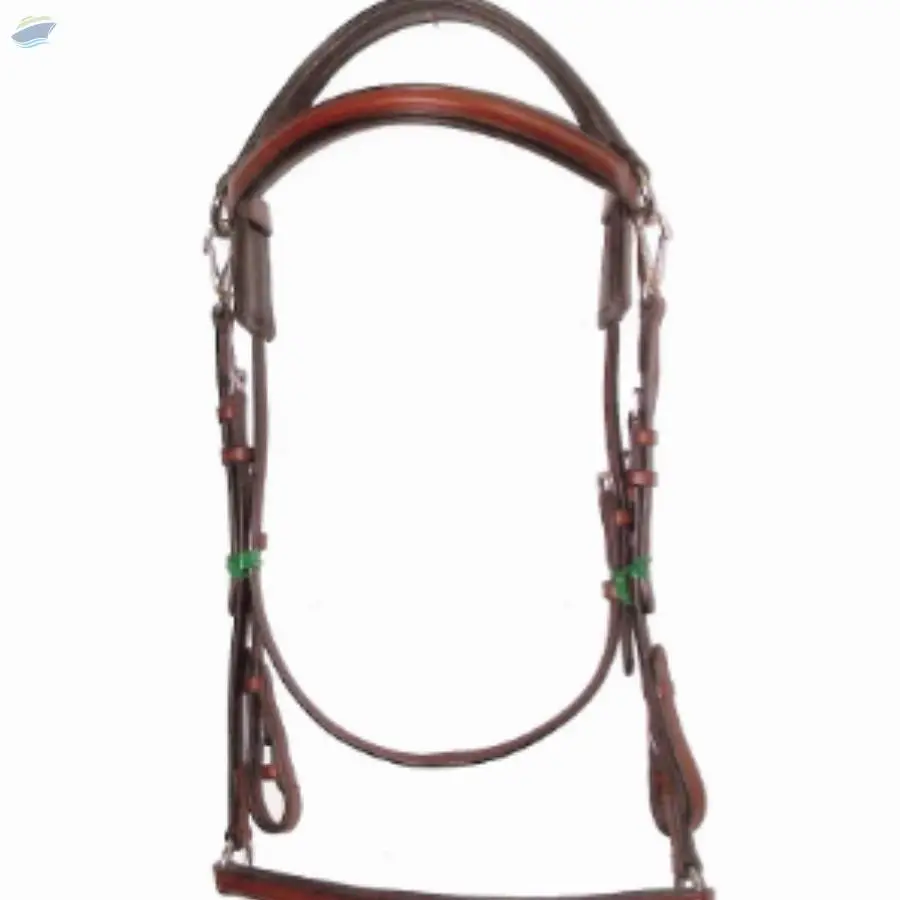 Bridle With Drop Noseband