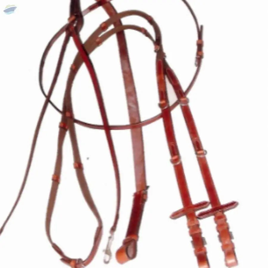 Martingal Olympic With Treathmen Reins