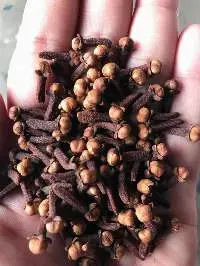 Cloves