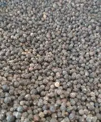 Black Pepper