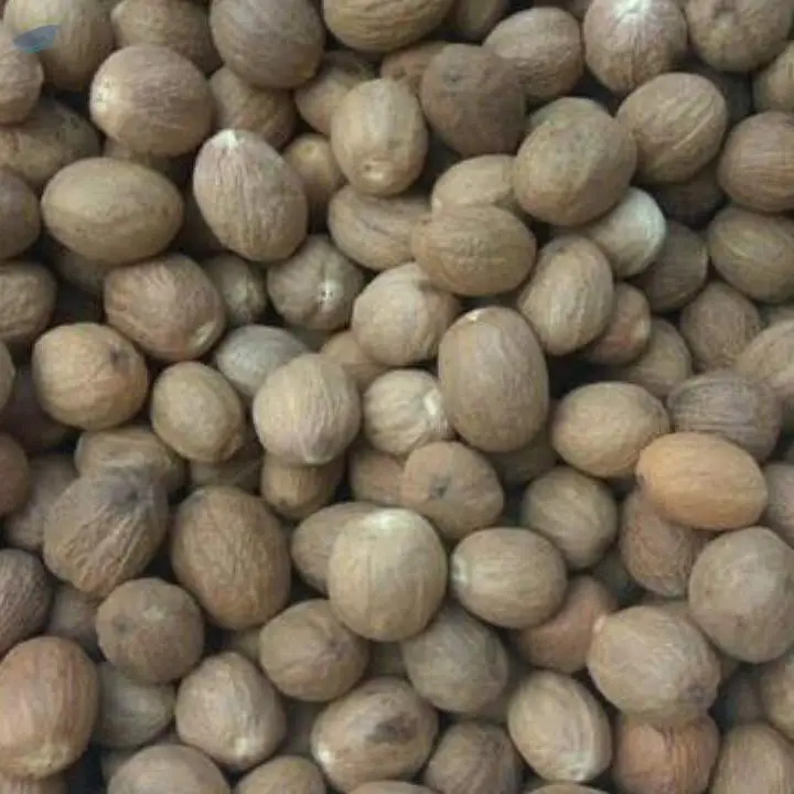 Nutmeg 