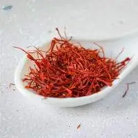Saffron Absolute