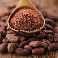 Cocoa Absolute