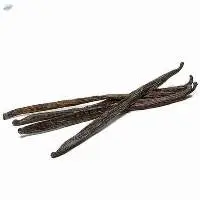 Vanilla