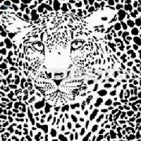 Home Blind Designs Digital Textile Printing