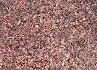 Cocoa Nibs