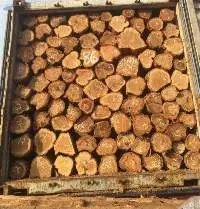 Ghana Teak Wood